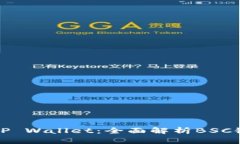 北京数字钱包TP Wallet：全面解析BSC链的应用与优